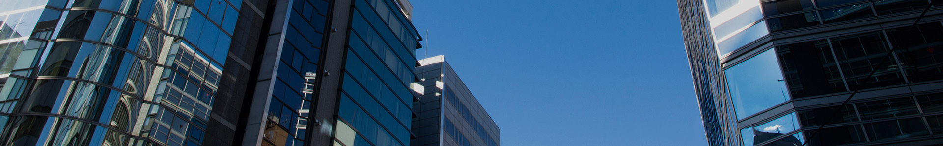 案例展示一