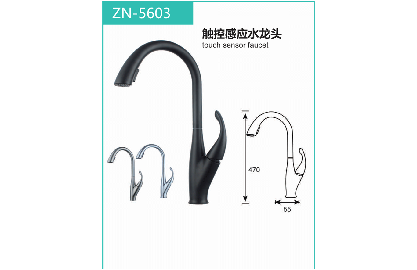 ZN-5603