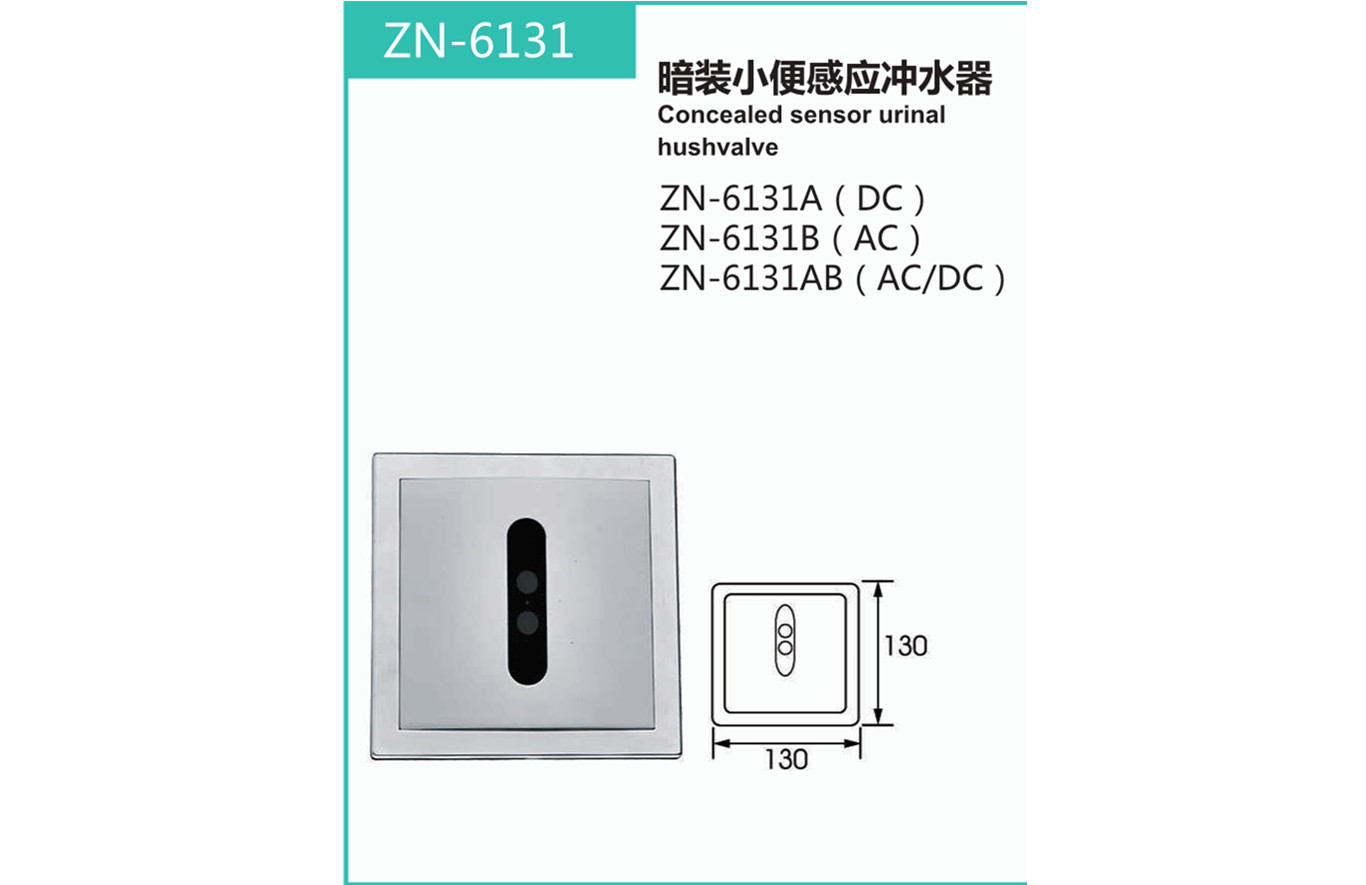 ZN-6131